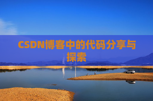 CSDN博客中的代码分享与探索